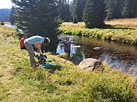 28-08-2024 Tříjezerní slať, Roklanský potok a Modrava (28)