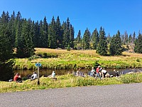 28-08-2024 Tříjezerní slať, Roklanský potok a Modrava (29)